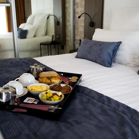 Le Grand Grenoble, Bw Premier Collection By Western 4* Grenoble